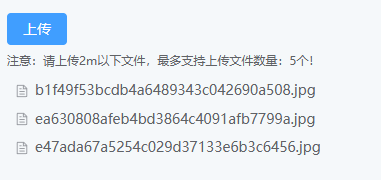上传后效果图